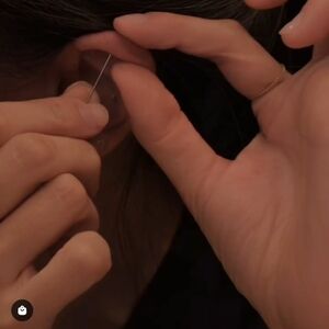 Beatti Vertical Steel Helix Bar Earring - NWT